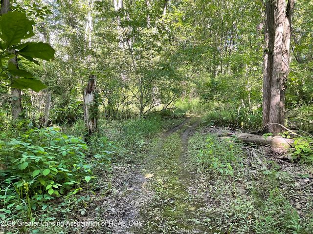 6845 S Ainger Road, Olivet, MI 49076