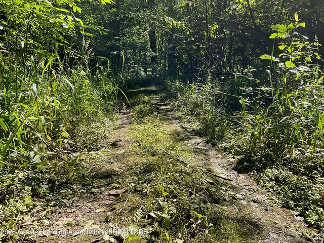 6845 S Ainger Road, Olivet, MI 49076