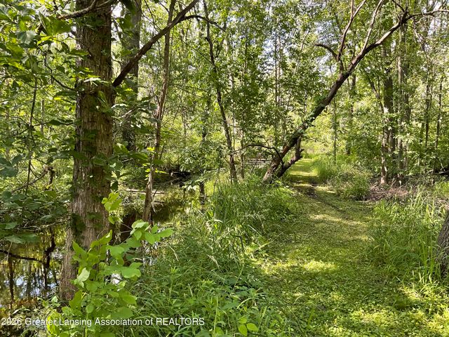 6845 S Ainger Road, Olivet, MI 49076