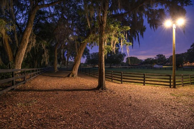 14650 NW 160TH AVENUE, Williston, FL 32696