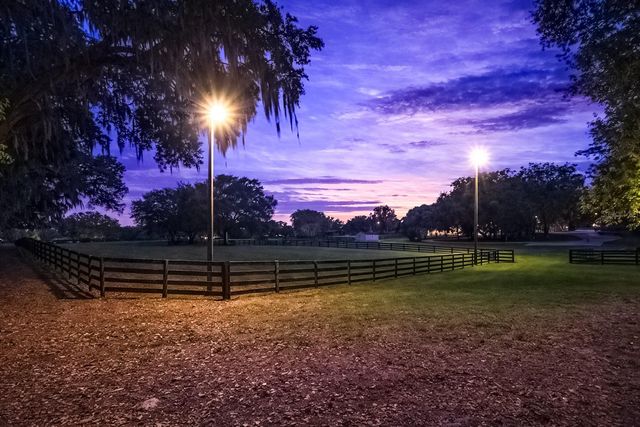 14650 NW 160TH AVENUE, Williston, FL 32696