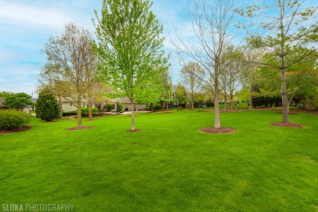 3025 Woods Creek Lane, Algonquin, IL 60102
