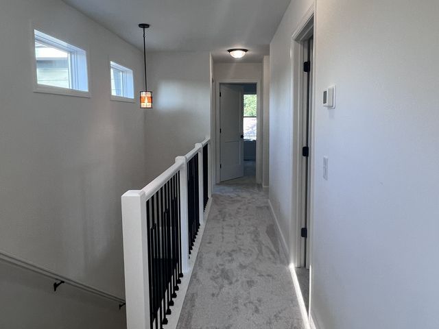 7205 62nd Avenue N, New Hope, MN 55428