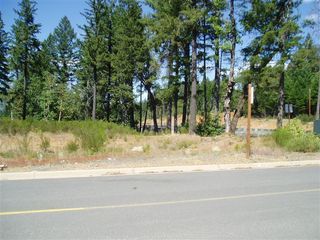 1301 Green Valley Drive, Cave Junction, OR 97523