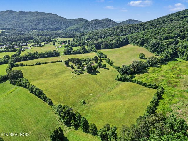 377 Thomas Loop Rd, Sevierville, TN 37876