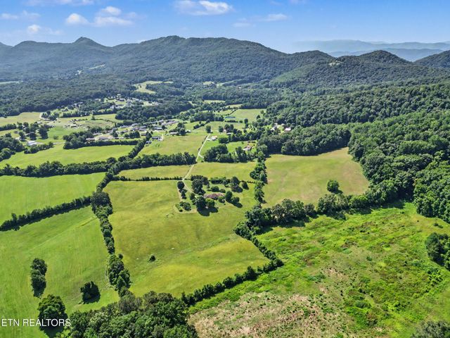 377 Thomas Loop Rd, Sevierville, TN 37876