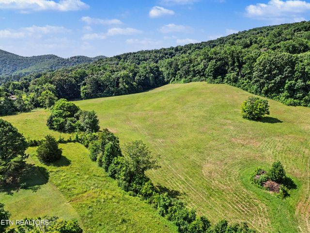 377 Thomas Loop Rd, Sevierville, TN 37876