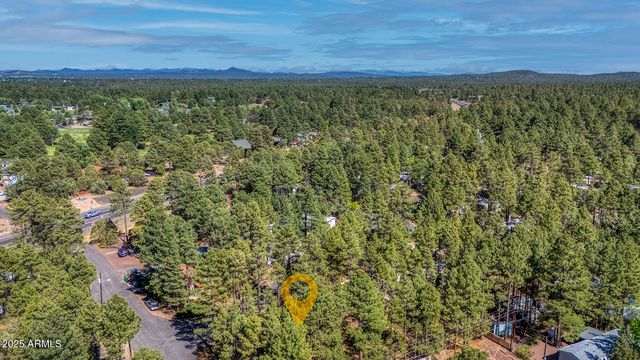 1148 N 43RD Drive, Show Low, AZ 85901