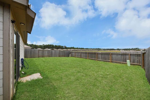 139 Reese Ravine Lane, Magnolia, TX 77354