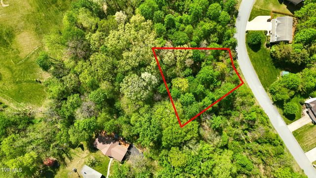 284 Holland View Drive, Jonesborough, TN 37659