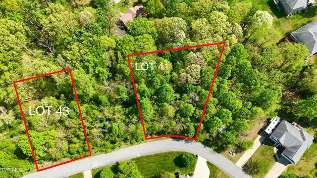 284 Holland View Drive, Jonesborough, TN 37659