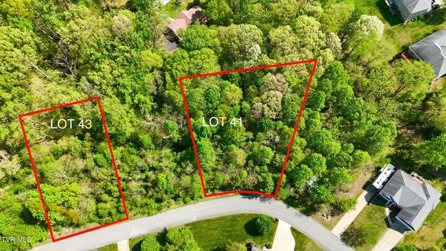 284 Holland View Drive, Jonesborough, TN 37659