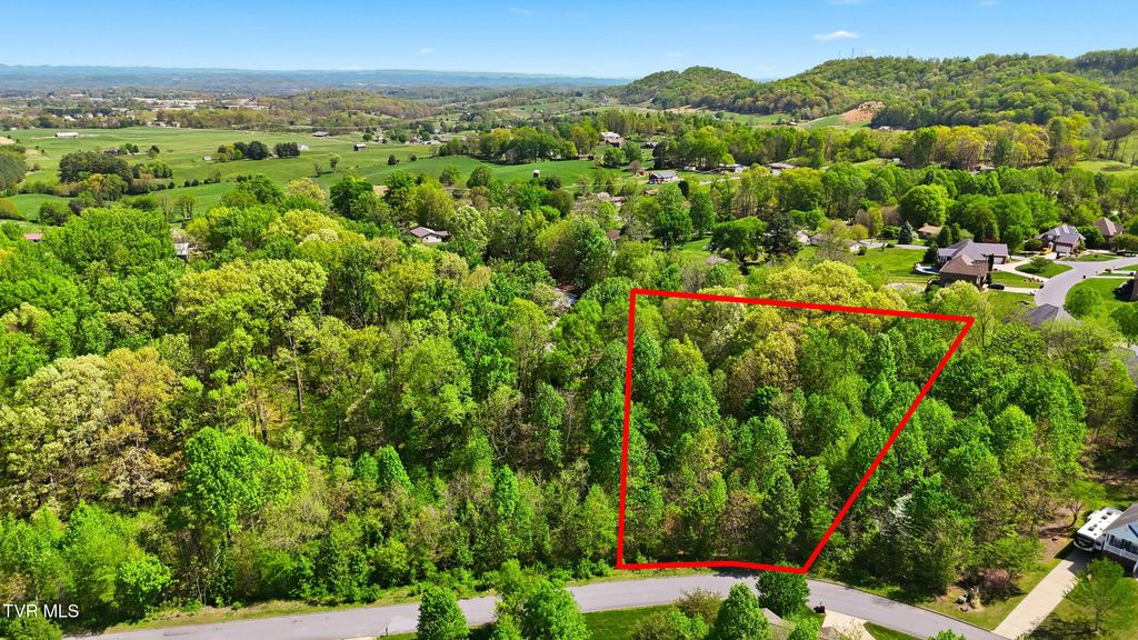284 Holland View Drive, Jonesborough, TN 37659