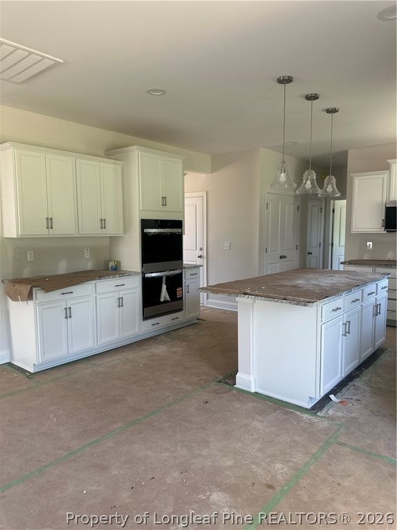 161 Margot Manor Drive, Benson, NC 27504 — photo 13