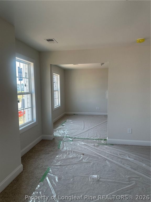 161 Margot Manor Drive, Benson, NC 27504 — photo 20
