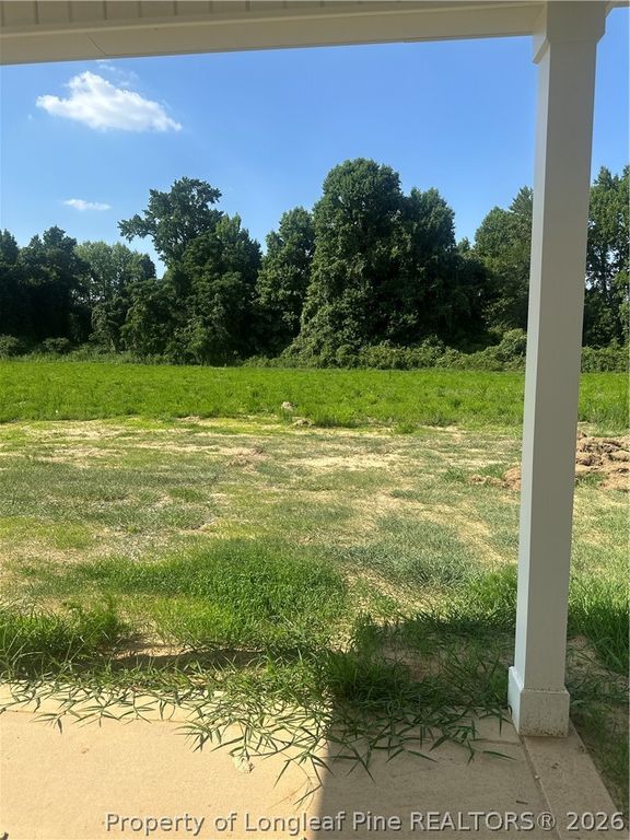161 Margot Manor Drive, Benson, NC 27504 — photo 6