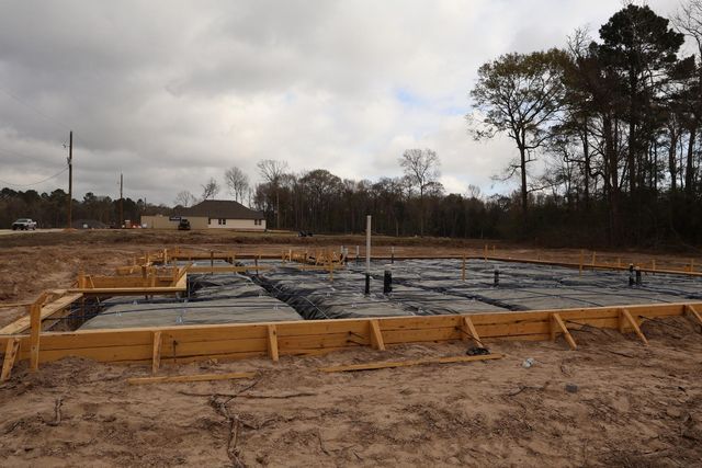 112 Roebuck Lane, New Waverly, TX 77358