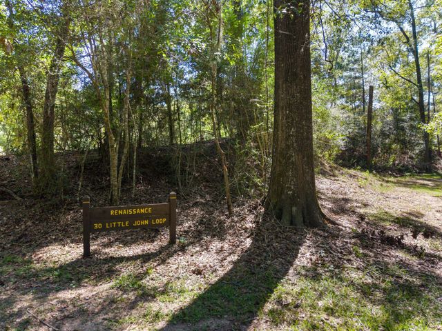 30 Little John Loop, Cleveland, TX 77327