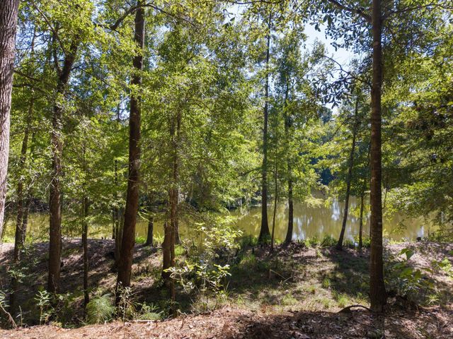 30 Little John Loop, Cleveland, TX 77327
