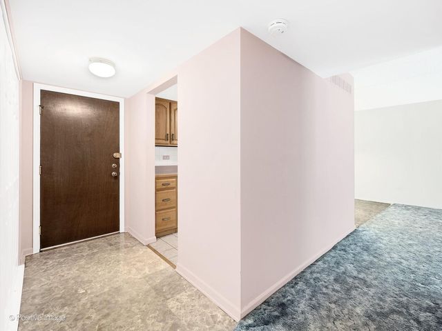 500 Redondo Road 109, Downers Grove, IL 60516