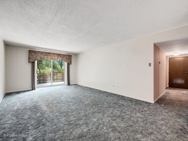 500 Redondo Road 109, Downers Grove, IL 60516