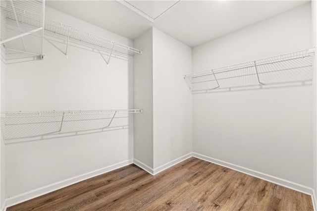 3524 Senna Road, Duluth, GA 30096