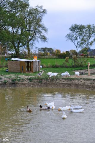 6286 N 50 E, Fortville, IN 46040