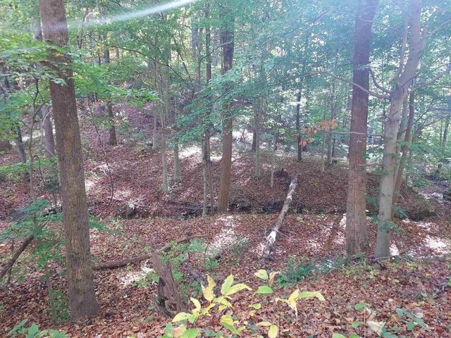 5 Acres Blue Ridge Trail, Columbus, NC 28722