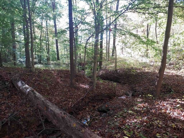 5 Acres Blue Ridge Trail, Columbus, NC 28722