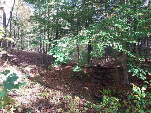 5 Acres Blue Ridge Trail, Columbus, NC 28722