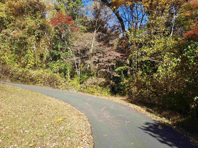 5 Acres Blue Ridge Trail, Columbus, NC 28722
