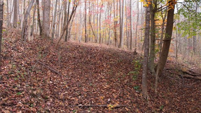 5 Acres Blue Ridge Trail, Columbus, NC 28722