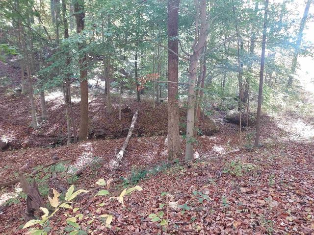 5 Acres Blue Ridge Trail, Columbus, NC 28722