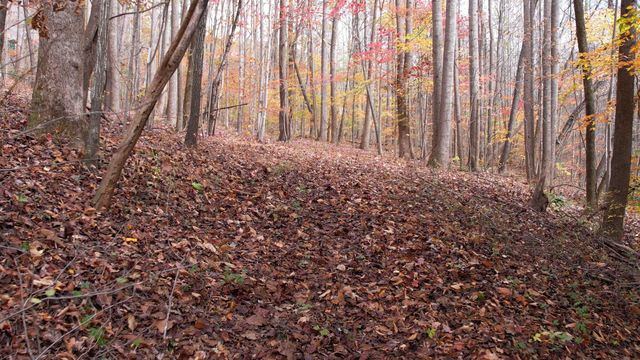 5 Acres Blue Ridge Trail, Columbus, NC 28722
