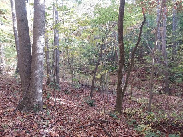 5 Acres Blue Ridge Trail, Columbus, NC 28722