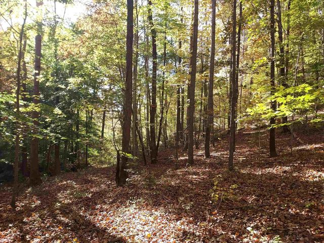 5 Acres Blue Ridge Trail, Columbus, NC 28722