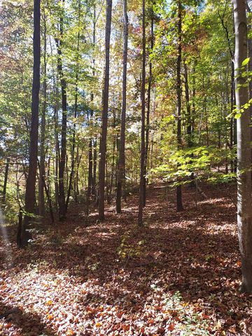 5 Acres Blue Ridge Trail, Columbus, NC 28722