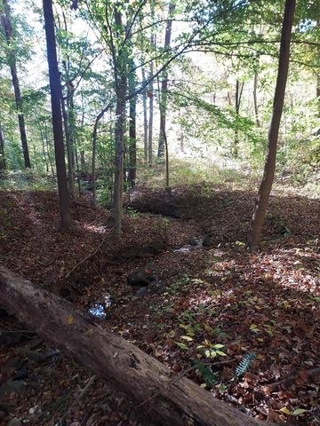 5 Acres Blue Ridge Trail, Columbus, NC 28722