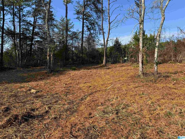 145 WET CAT ROAD, Hayden, AL 35079