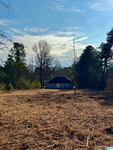 145 WET CAT ROAD, Hayden, AL 35079