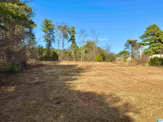 145 WET CAT ROAD, Hayden, AL 35079