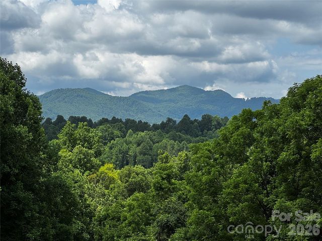 1327 NC 80 Highway, Bakersville, NC 28705