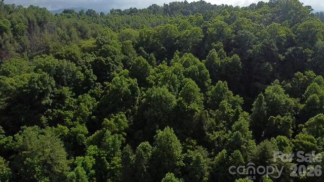 1327 NC 80 Highway, Bakersville, NC 28705