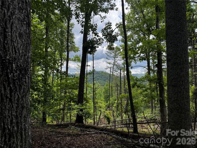 1327 NC 80 Highway, Bakersville, NC 28705