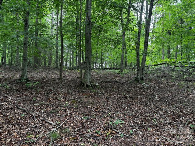 1327 NC 80 Highway, Bakersville, NC 28705