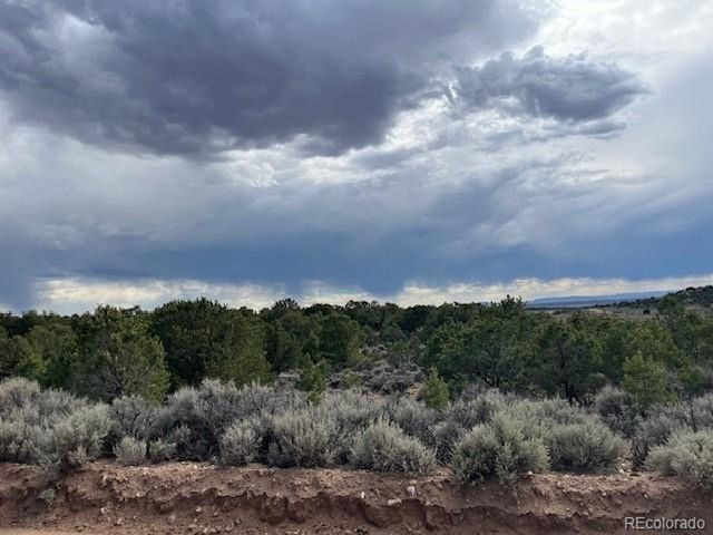 989 Bateman Rd, Fort Garland, CO 81133