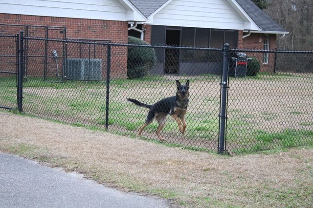 54 Old Hwy 15, Laurel, MS 39443