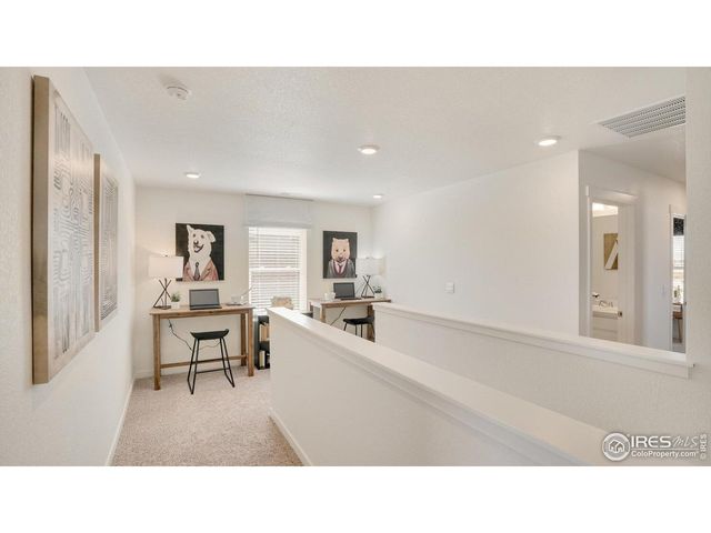 841 Trumpet Ln, Windsor, CO 80550