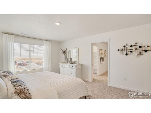 841 Trumpet Ln, Windsor, CO 80550