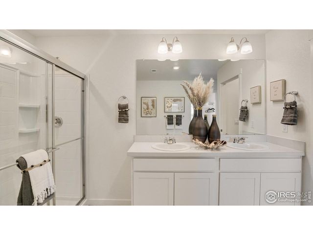 841 Trumpet Ln, Windsor, CO 80550